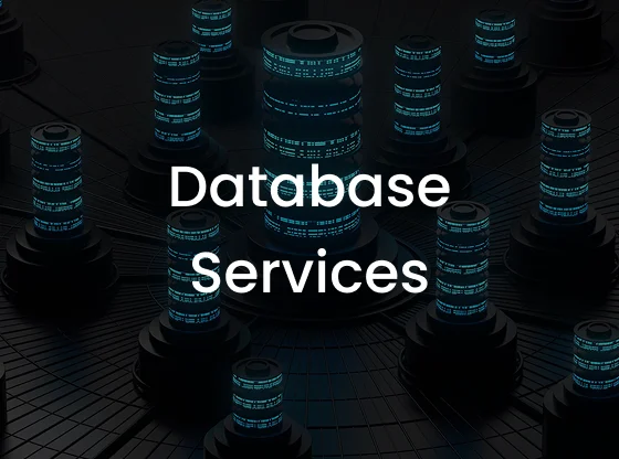 Database